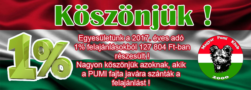 2017-ado.jpg