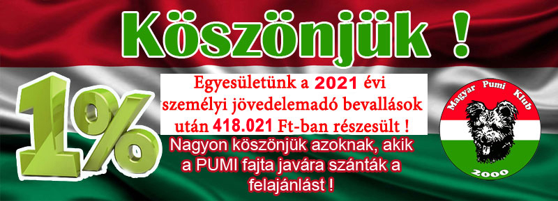 2021-ado.jpg
